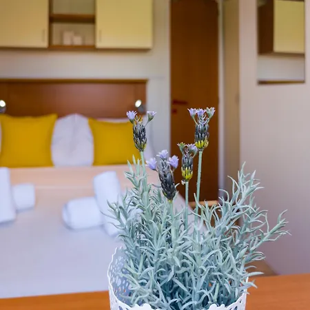 Lavender Mobile Pakoštane